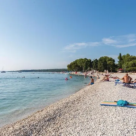 Oliva * Fažana